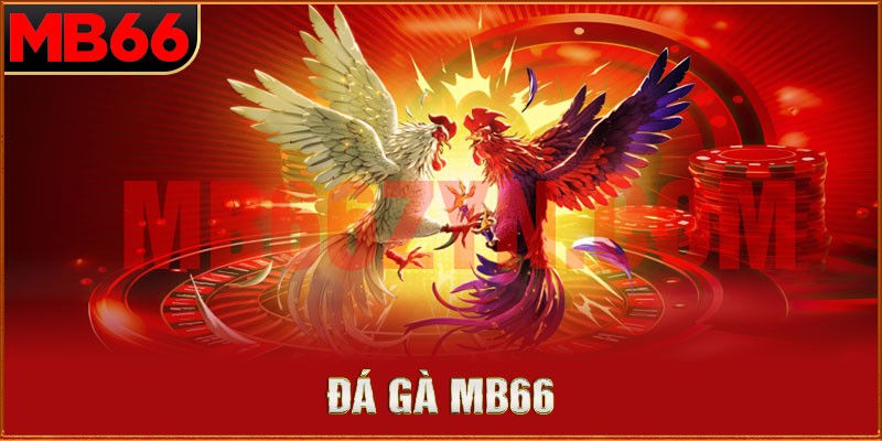 Hướng dẫn tham gia đá gà mb66